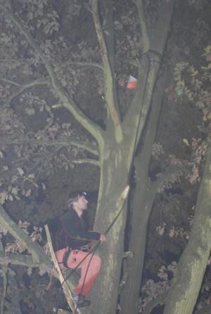 Petr leze na strom