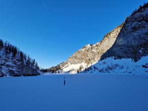 Vorderer Lahngangsee