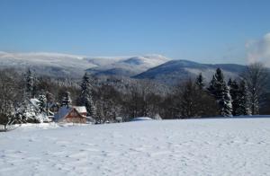 Pohled na Krkonoše