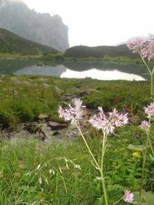 Kačacie pleso